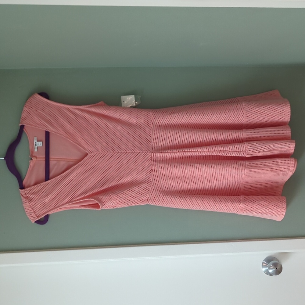NWT Bar III Pink Eyelets Dress SZ L